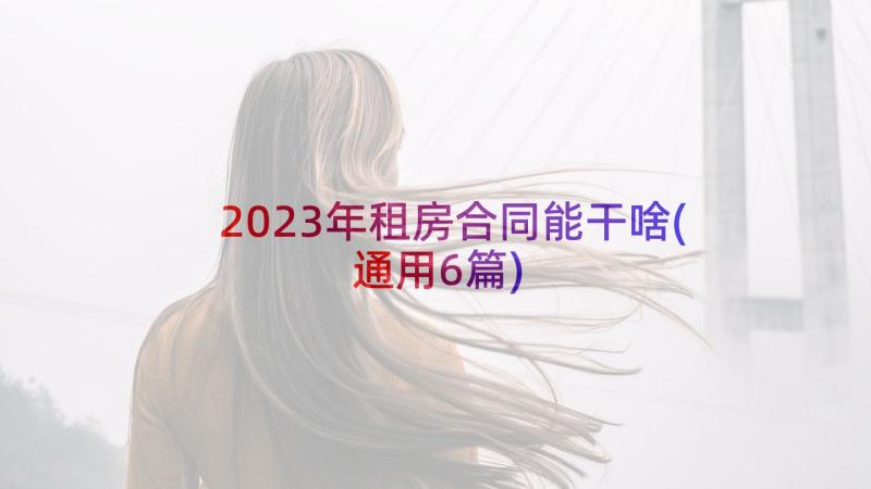 2023年租房合同能干啥(通用6篇)