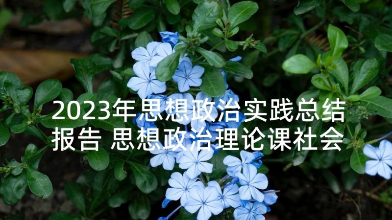 2023年思想政治实践总结报告 思想政治理论课社会实践报告(精选6篇)