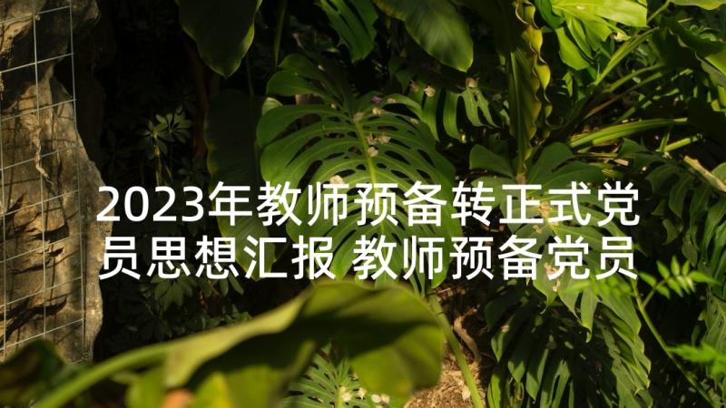 2023年教师预备转正式党员思想汇报 教师预备党员转正思想汇报范例(精选7篇)