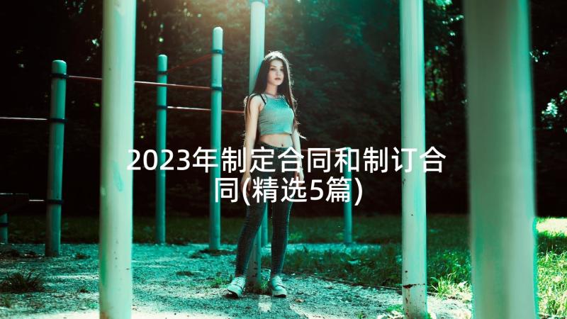 2023年制定合同和制订合同(精选5篇)