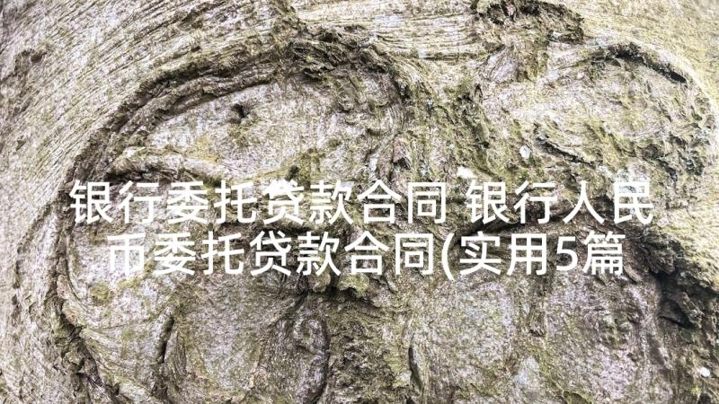 银行委托贷款合同 银行人民币委托贷款合同(实用5篇)