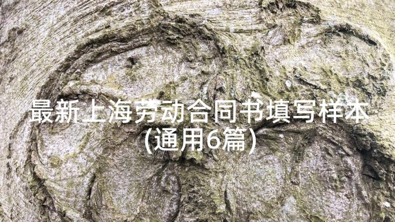 最新上海劳动合同书填写样本(通用6篇)