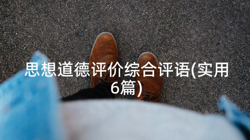 思想道德评价综合评语(实用6篇)