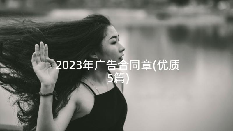 2023年广告合同章(优质5篇)