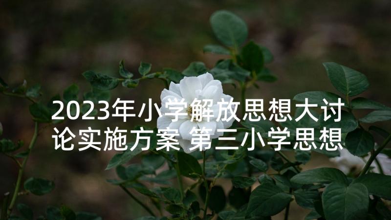 2023年小学解放思想大讨论实施方案 第三小学思想政治教育活动实施方案(模板5篇)