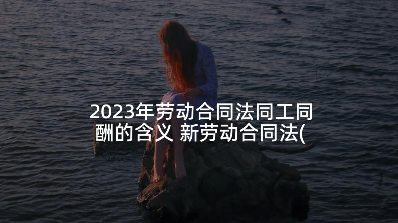 2023年劳动合同法同工同酬的含义 新劳动合同法(精选5篇)