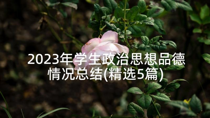 2023年学生政治思想品德情况总结(精选5篇)