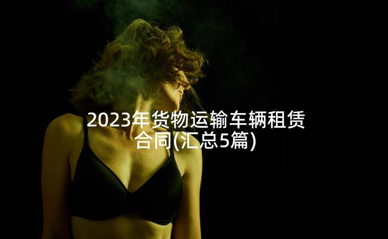 2023年货物运输车辆租赁合同(汇总5篇)