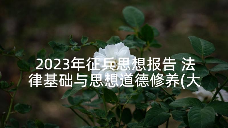 2023年征兵思想报告 法律基础与思想道德修养(大全9篇)