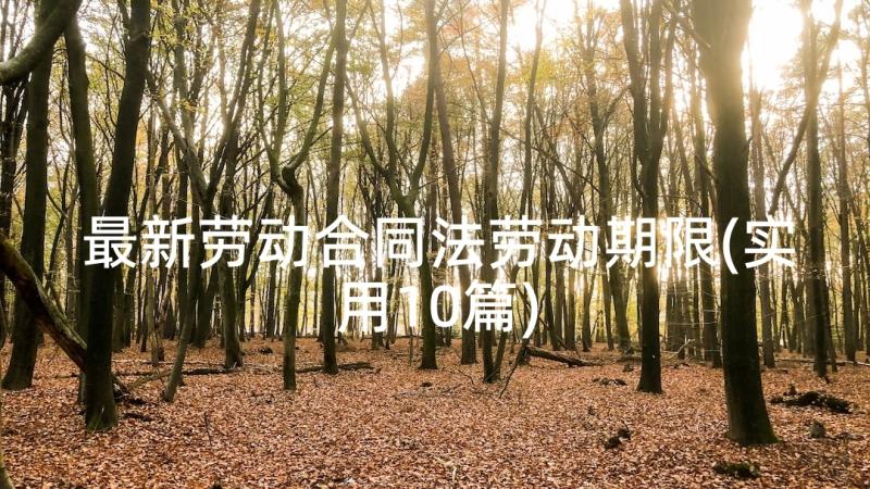 最新劳动合同法劳动期限(实用10篇)