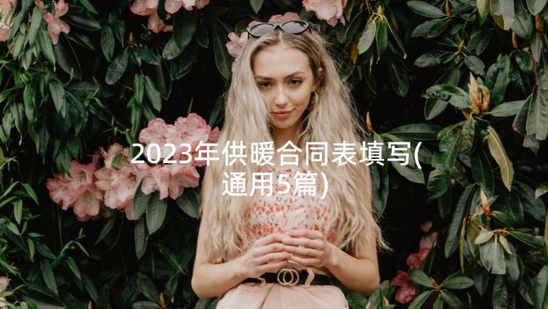 2023年供暖合同表填写(通用5篇)