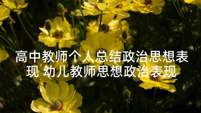 高中教师个人总结政治思想表现 幼儿教师思想政治表现个人总结(实用5篇)