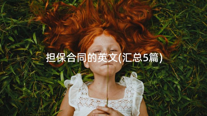 担保合同的英文(汇总5篇)