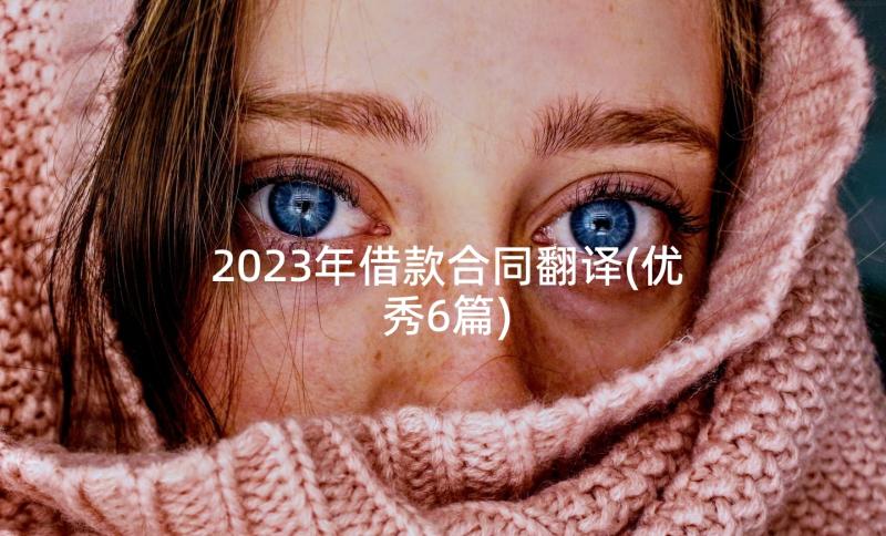 2023年借款合同翻译(优秀6篇)