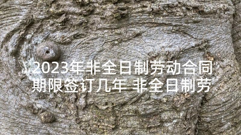 2023年非全日制劳动合同期限签订几年 非全日制劳动合同(优质6篇)