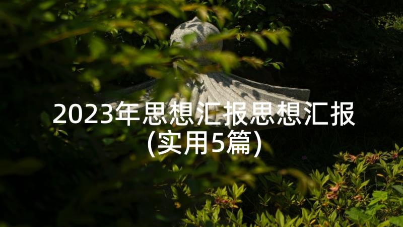 2023年思想汇报思想汇报(实用5篇)