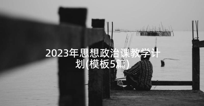 2023年思想政治课教学计划(模板5篇)