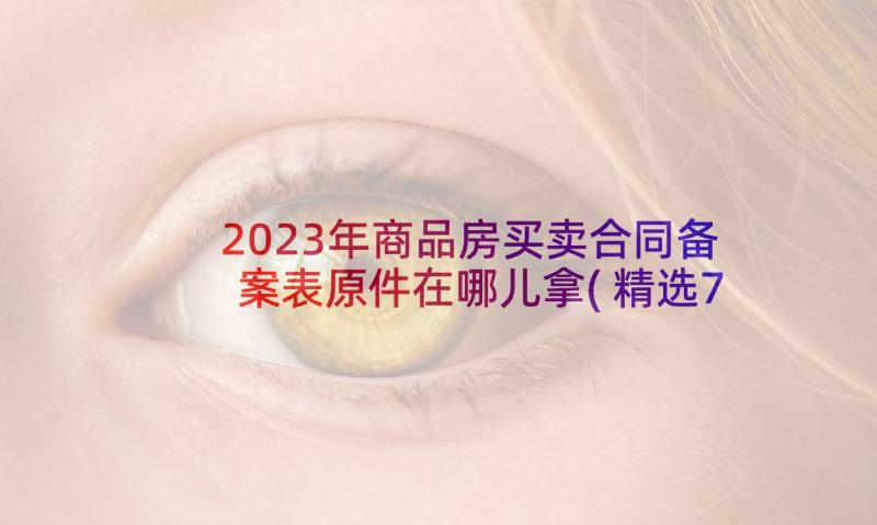 2023年商品房买卖合同备案表原件在哪儿拿(精选7篇)