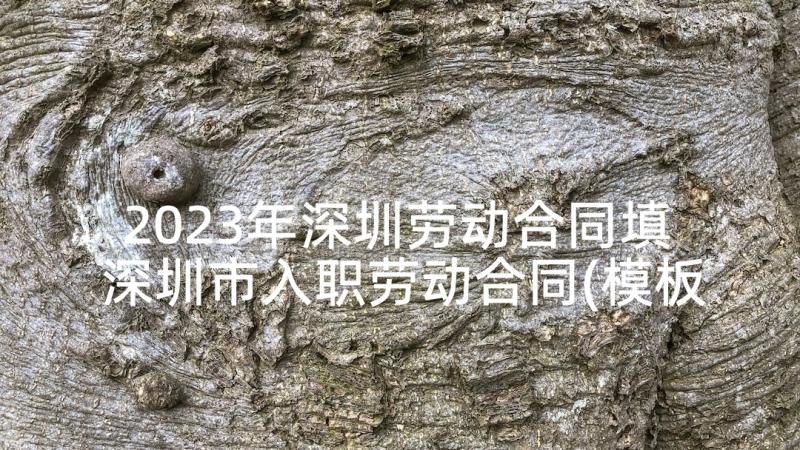 2023年深圳劳动合同填 深圳市入职劳动合同(模板8篇)