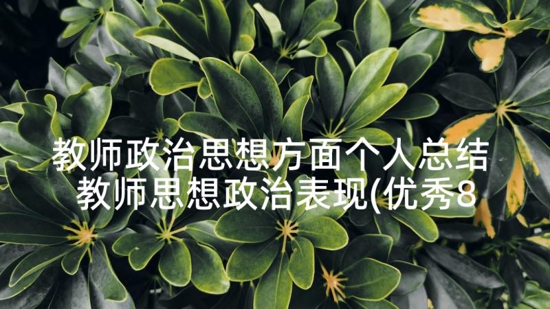 教师政治思想方面个人总结 教师思想政治表现(优秀8篇)