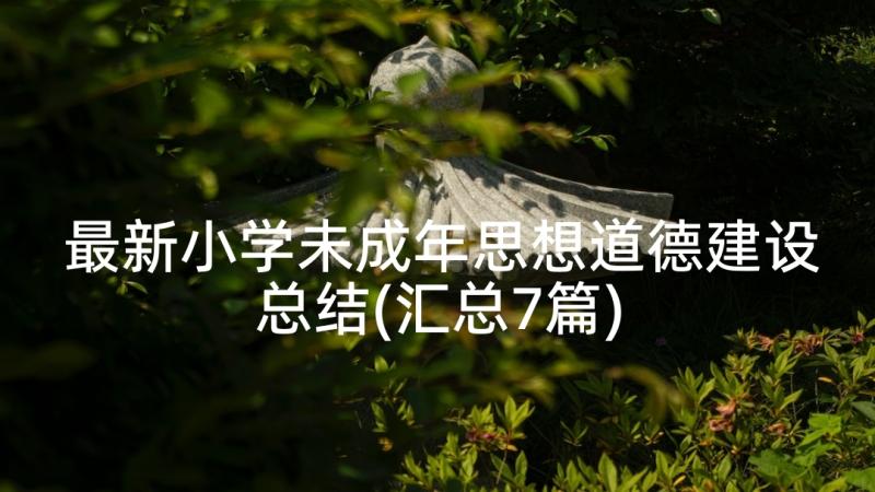 最新小学未成年思想道德建设总结(汇总7篇)