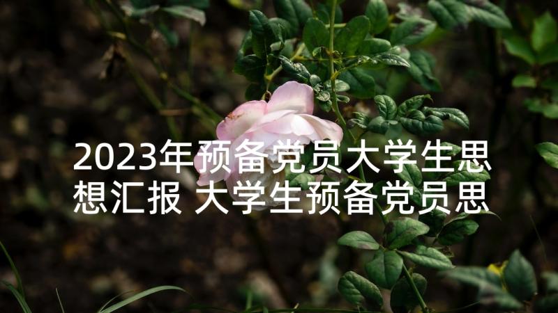 2023年预备党员大学生思想汇报 大学生预备党员思想汇报(精选9篇)