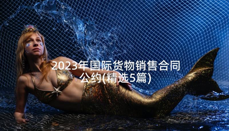 2023年国际货物销售合同公约(精选5篇)