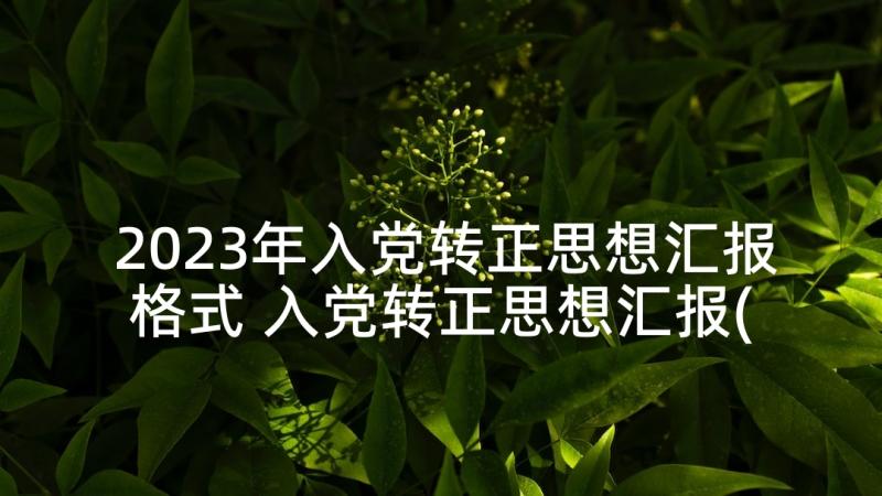 2023年入党转正思想汇报格式 入党转正思想汇报(大全6篇)