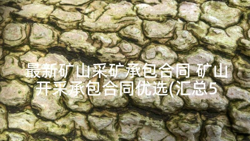 最新矿山采矿承包合同 矿山开采承包合同优选(汇总5篇)