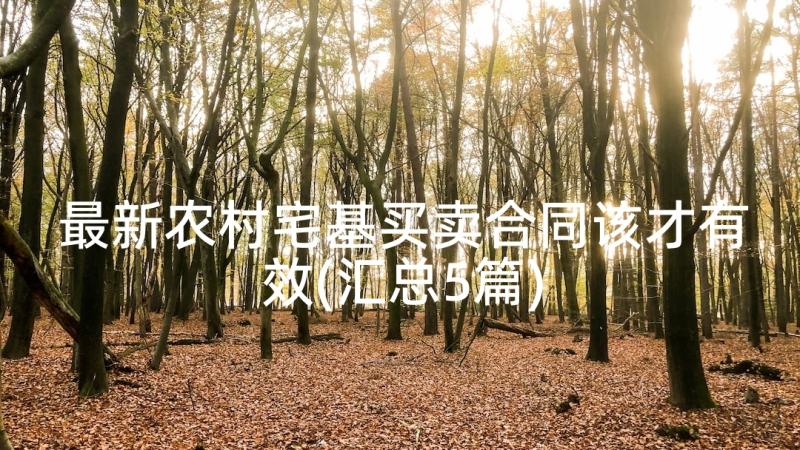 最新农村宅基买卖合同该才有效(汇总5篇)