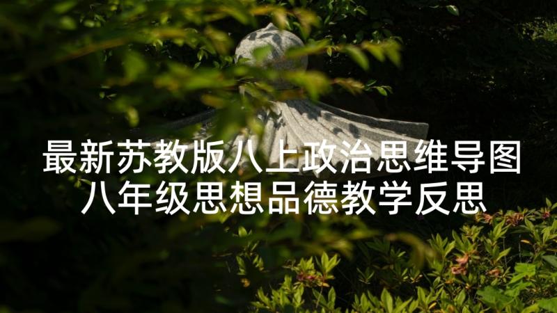 最新苏教版八上政治思维导图 八年级思想品德教学反思(模板5篇)