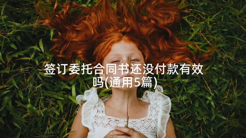 签订委托合同书还没付款有效吗(通用5篇)