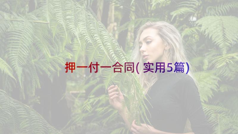 押一付一合同(实用5篇)