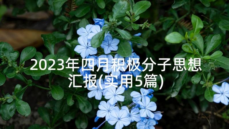 2023年四月积极分子思想汇报(实用5篇)