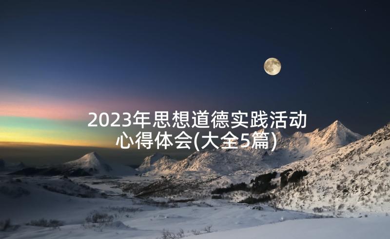 2023年思想道德实践活动心得体会(大全5篇)