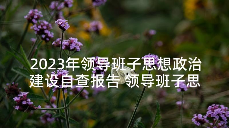 2023年领导班子思想政治建设自查报告 领导班子思想政治建设情况的报告(模板5篇)