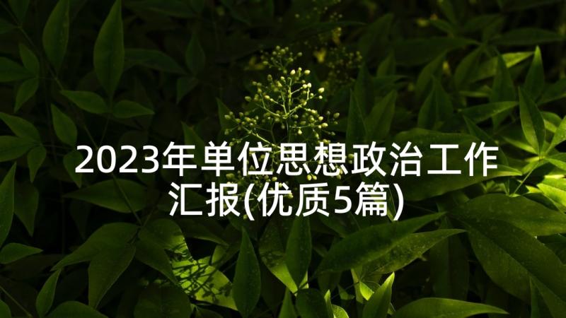 2023年单位思想政治工作汇报(优质5篇)