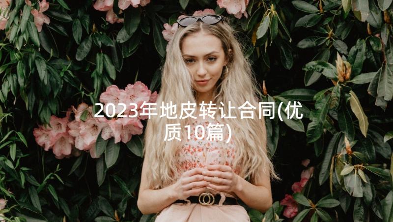 2023年地皮转让合同(优质10篇)