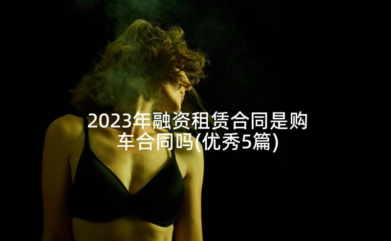 2023年融资租赁合同是购车合同吗(优秀5篇)