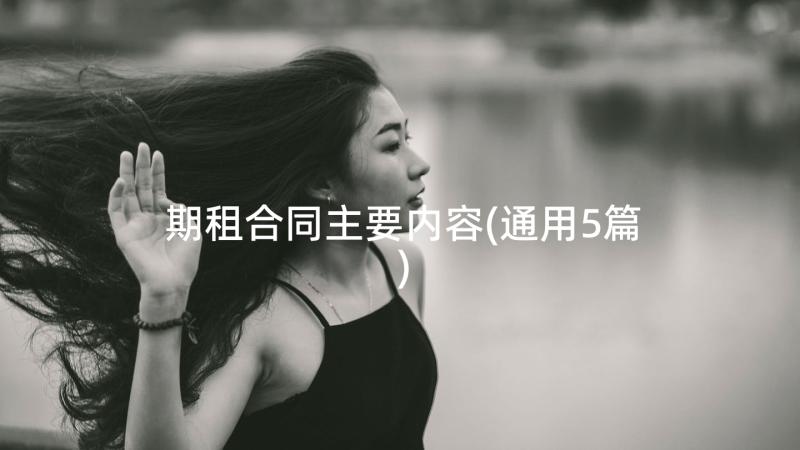 期租合同主要内容(通用5篇)