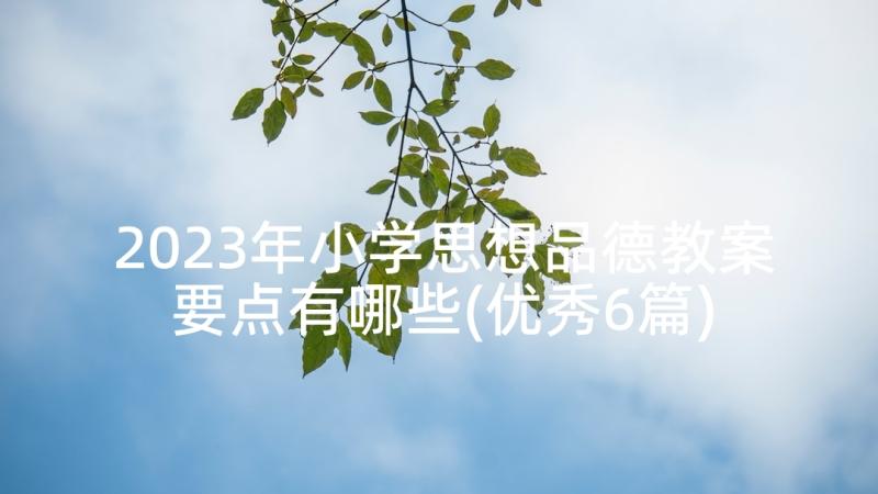 2023年小学思想品德教案要点有哪些(优秀6篇)