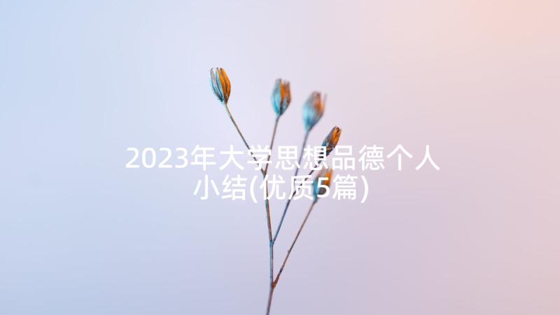 2023年大学思想品德个人小结(优质5篇)