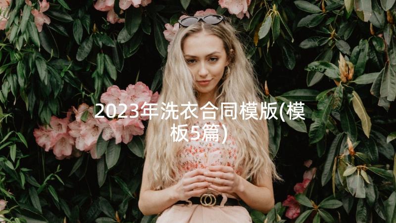 2023年洗衣合同模版(模板5篇)