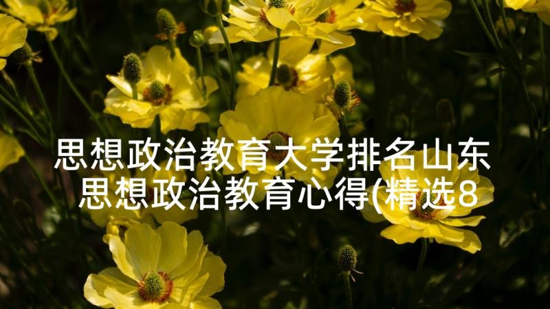 思想政治教育大学排名山东 思想政治教育心得(精选8篇)