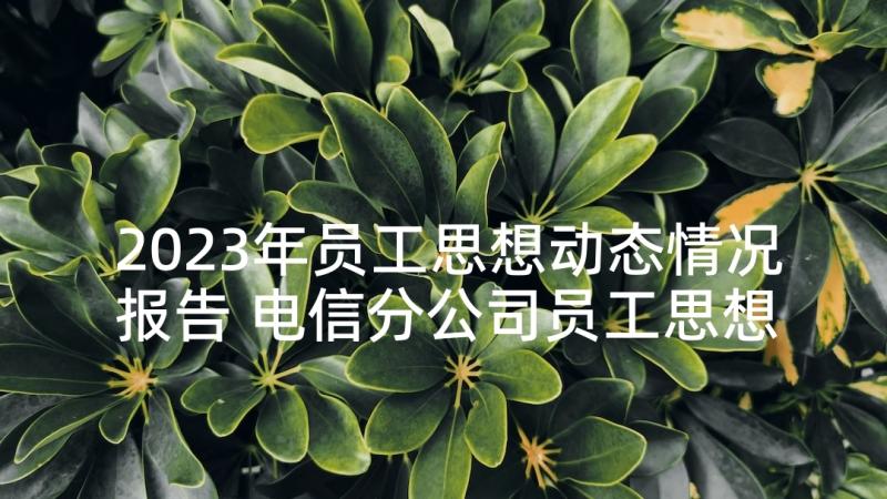 2023年员工思想动态情况报告 电信分公司员工思想动态调研报告(实用5篇)