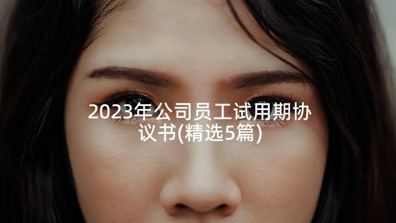 2023年公司员工试用期协议书(精选5篇)