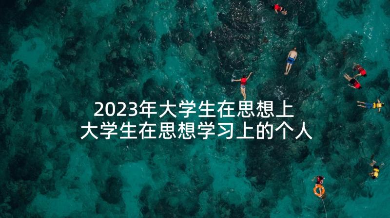 2023年大学生在思想上 大学生在思想学习上的个人总结(优质5篇)