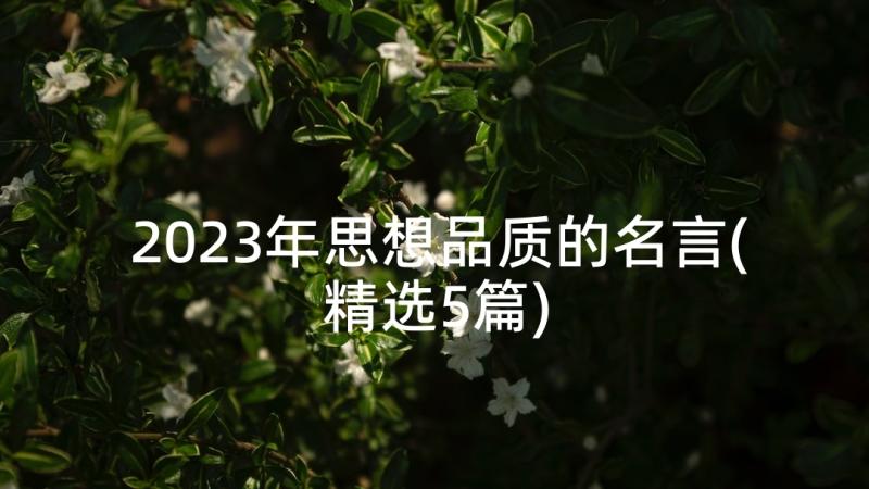 2023年思想品质的名言(精选5篇)