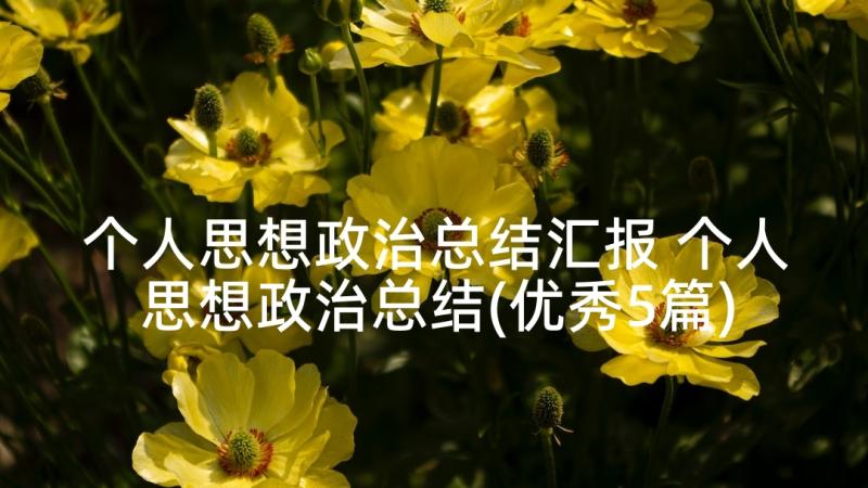 个人思想政治总结汇报 个人思想政治总结(优秀5篇)