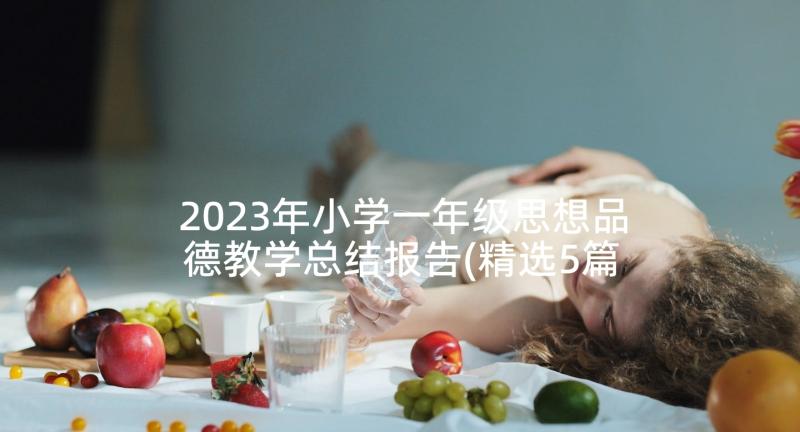 2023年小学一年级思想品德教学总结报告(精选5篇)